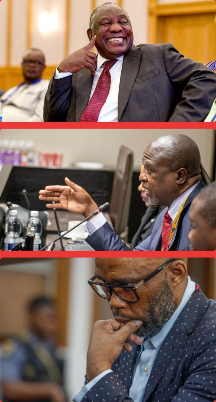 ImageMerge_LongImage_20251117_072550148